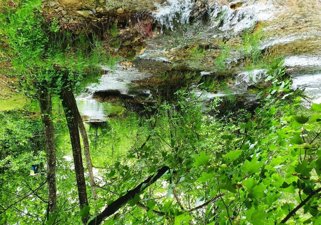 Green Eden Gornji Zvecaj Екстер'єр фото