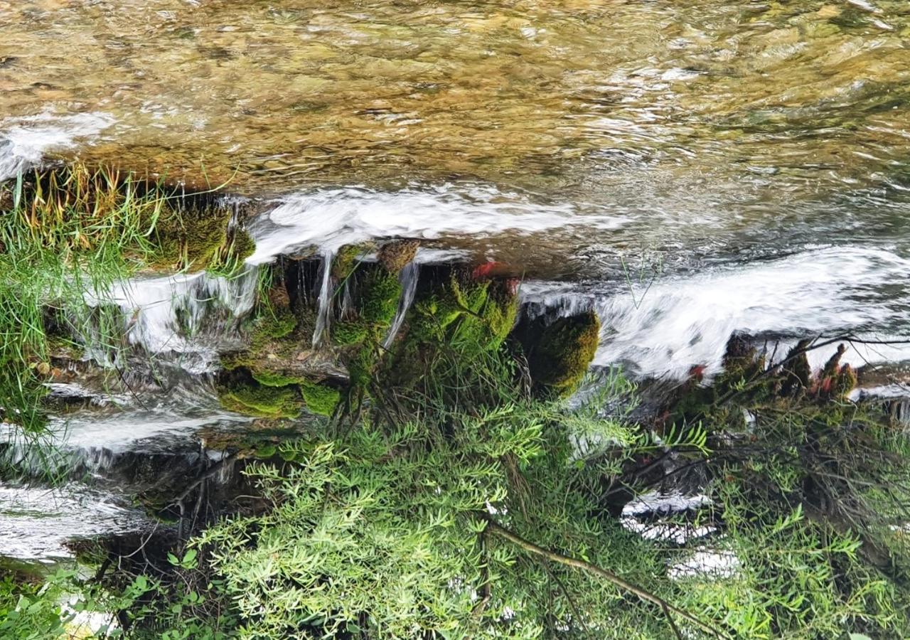Green Eden Gornji Zvecaj Екстер'єр фото