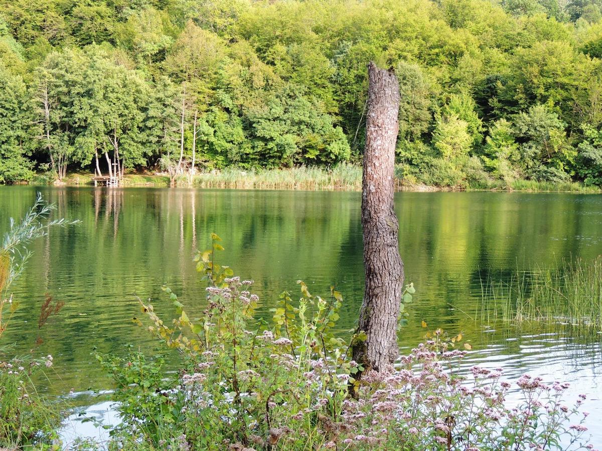 Green Eden Gornji Zvecaj Екстер'єр фото