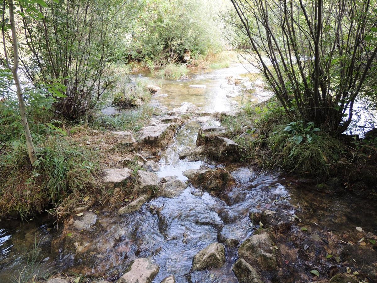 Green Eden Gornji Zvecaj Екстер'єр фото