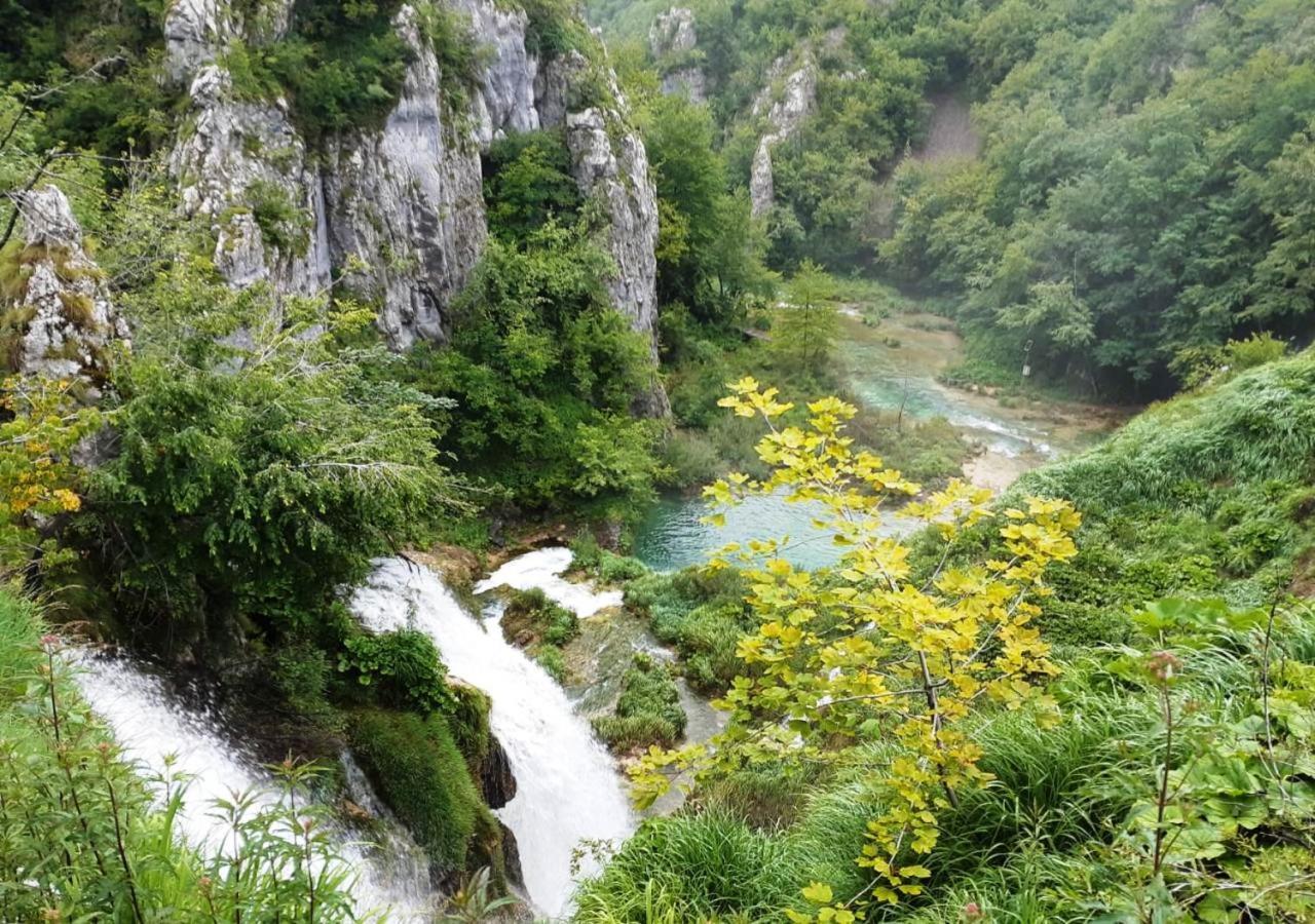 Green Eden Gornji Zvecaj Екстер'єр фото